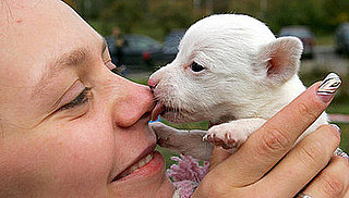 Too Cute For Words!