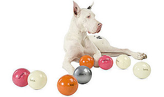 New Product Alert! Orbee Tuff Cosmos Balls