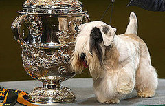 The Scoop: Charmin Wins Crufts!