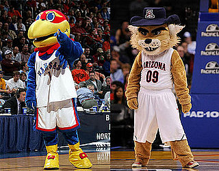 March Madness: Sweet Sixteen Mascot Quiz