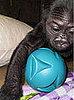 Hasani Needs Pressies!