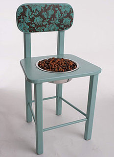 Chow Chair: Spoiled Sweet or Spoiled Rotten?