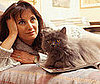 Do You Agree With the Top 10 Cat-Friendly Cities?