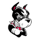 March Madness For Dogs