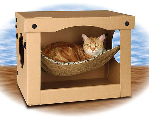 SnoozePal Hammock: Spoiled Sweet or Spoiled Rotten?