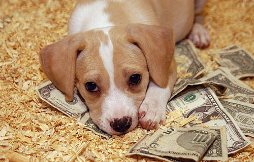 Save Your Pennies Save Your Pennies
