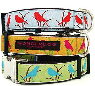 New Product Alert! Wonderdog Birdie