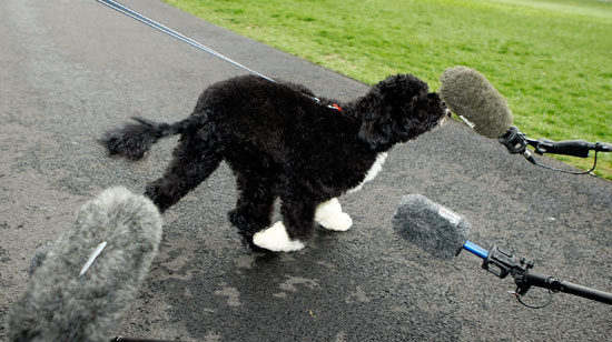 The First Dog's First Press Conference