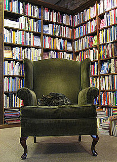 Do You Know Your Literary Cats?