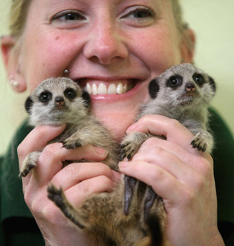 Lia and Roo Make a Big Debut! Lia and Roo Make a Big Debut!