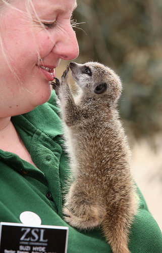 Lia and Roo Make a Big Debut! Lia and Roo Make a Big Debut!