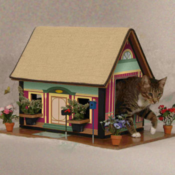 Kitty's Purrfect Playhouse: Spoiled Sweet or Spoiled Rotten?