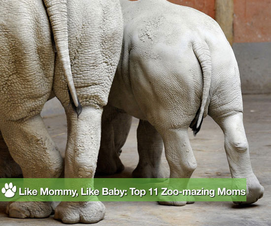 Like Mommy, Like Baby: The Year's Top 11 Adoro Parenting Pics Like Mommy, Like Baby: The Year's Top 11 Adoro Parenting Pics