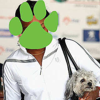 Guess Who?