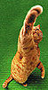 Claw Clipping Comes For Cats, Too