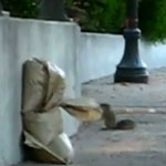 Baby Squirrel Gets a Boost