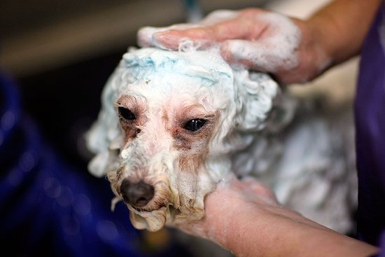 Rub Extra Gently