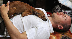 Do Tell: How Do You Enjoy Time Off With Your Pets?