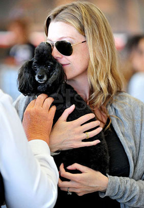Ellen Pompeo Cuddles Her Poodle Ellen Pompeo Cuddles Her Poodle