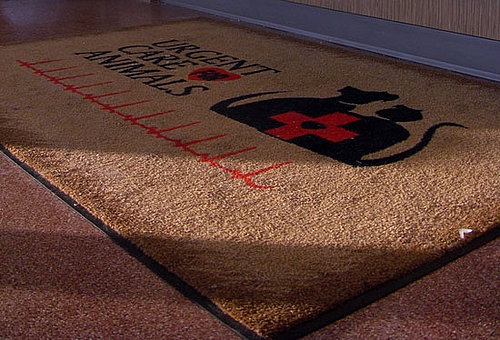 Do You Know Where the Closest 24-Hour Vet Clinic Is?