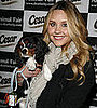 Name Famously Furry Faces: Cavalier King Charles Spaniel Edition!