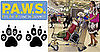The Scoop: Southwest Airlines Now Flies the Pet-Friendly Skies