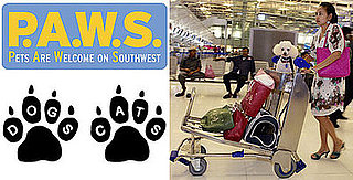 The Scoop: Southwest Airlines Now Flies the Pet-Friendly Skies