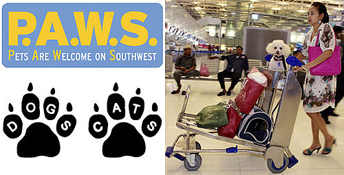 The Scoop: Southwest Airlines Now Flies the Pet-Friendly Skies