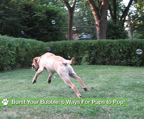 Bubble Blowers For All Play Styles and Spaces