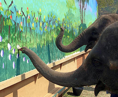 Priciest Animal Art Ever Priciest Animal Art Ever