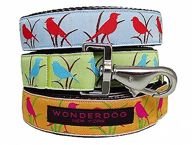 Wonderdog Collars and Leashes ($36 and up)
