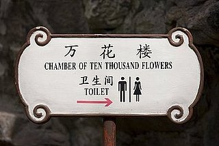 Briefing Book! Shanghai Upgrading Toilets For World Expo