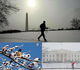 Photos of the Winter Snow Storm