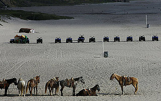 Mexican Drug Violence Sparks a War on Spring Break