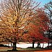 Inspired by the Seasons