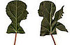 Lil Links: Honor Earth Day With a Natural Silhouette 