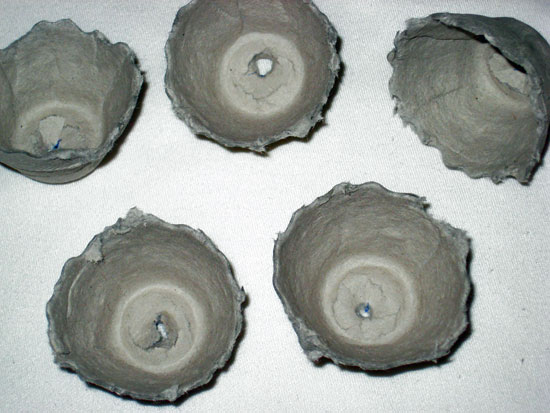 Egg Crates with Holes Cut in the Bottom