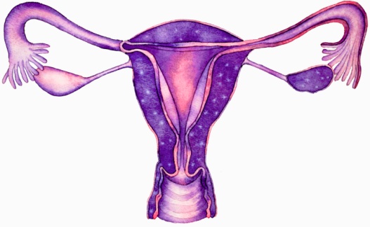 Ovulation