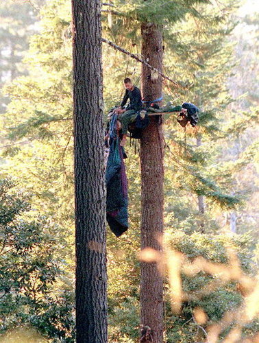 Environmental Extremist Groups: 8 Acts of Ecoterrorism