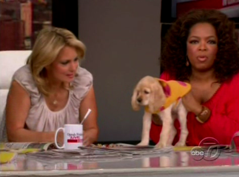 Oprah's New Pup, Sadie Oprah's New Pup, Sadie
