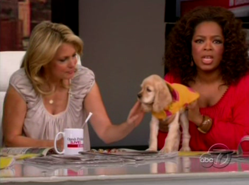 Oprah's New Pup, Sadie Oprah's New Pup, Sadie
