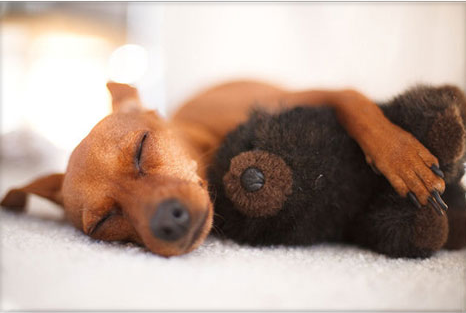 Cuddle Up, Baby! Cuddle Up, Baby!
