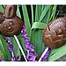 Homemade Chocolate Lollipops
