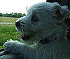 Pet Pics on PetSugar 2009-04-29 09:00:00