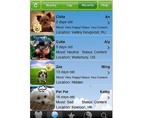 iPet Dogs iPet Dogs