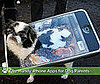 Five Handy iPhone Apps For Dog Parents