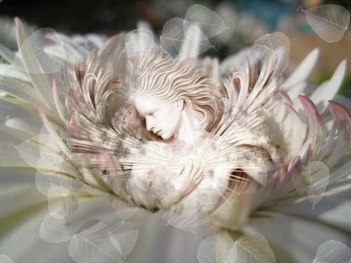 RAY OF LIGHT - SPIRITUAL AWAKENINGS