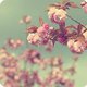 littlemissme's picture