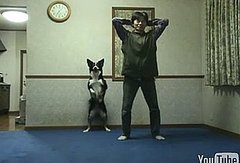 Dog Does Squats With His Human Companion Dog Does Squats With His Human Companion