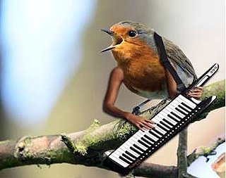 Grab Bag: Birds With Arms — Why the Hell Not?